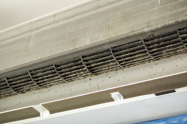 Best Air Duct Cleaning Near Me  in Fortuna, CA